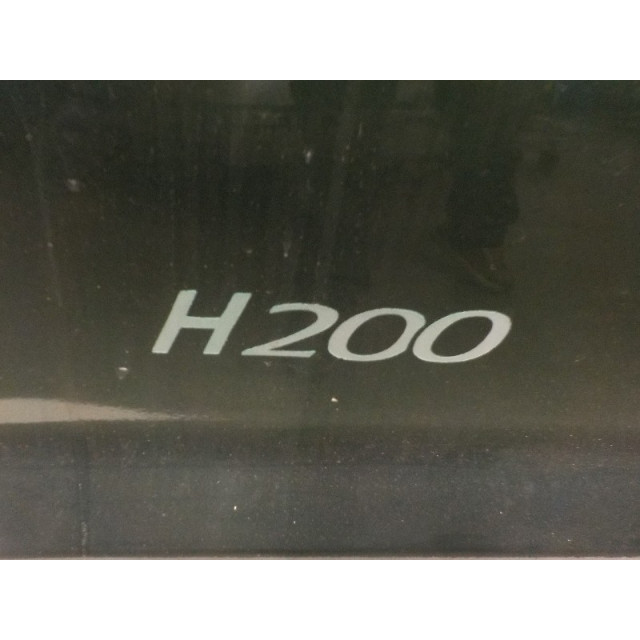 Drzwi przednie lewe Hyundai H 1/H 200 (2000 - 2000) Van 2.5 TD (D4BF)