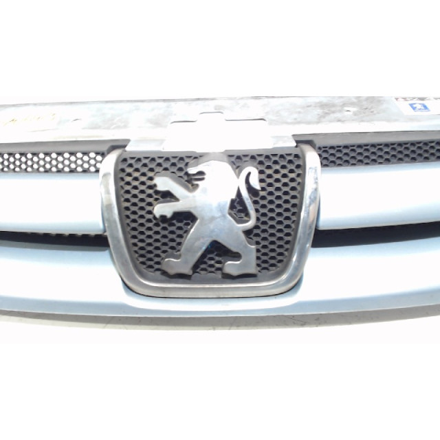 Atrapa/grill Peugeot Partner/Ranch (1996 - 2015) Van 1.9 D (DW8B(WJY))