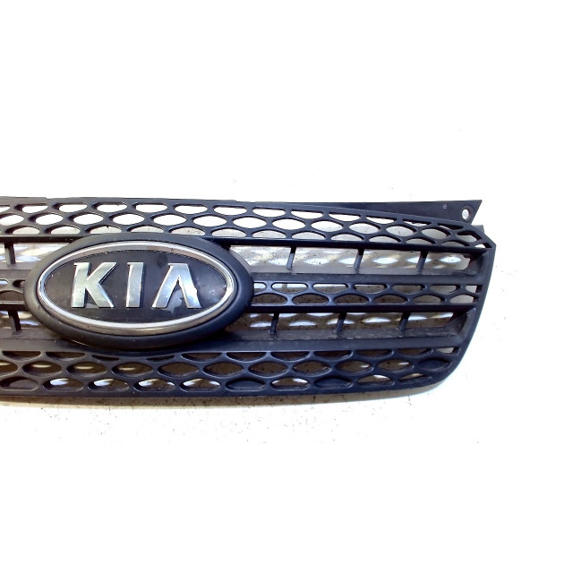 Atrapa/grill Kia Picanto (BA) (2007 - 2011) Hatchback 1.0 12V (G4HE)