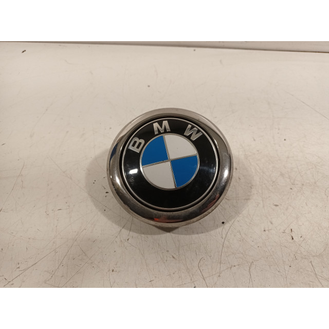 Znak firmowy BMW 1 serie (F20) (2011 - 2015) Hatchback 5-drs 116i 1.6 16V (N13-B16A)