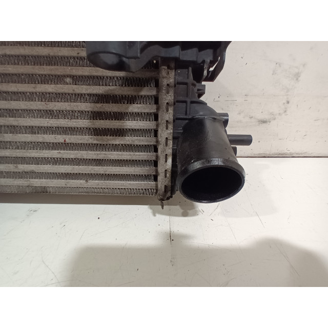 Chłodnica powietrza doładowującego Ford C-Max (DXA) (2012 - 2019) MPV 1.0 Ti-VCT EcoBoost 12V 125 (M1DA(Euro 5))