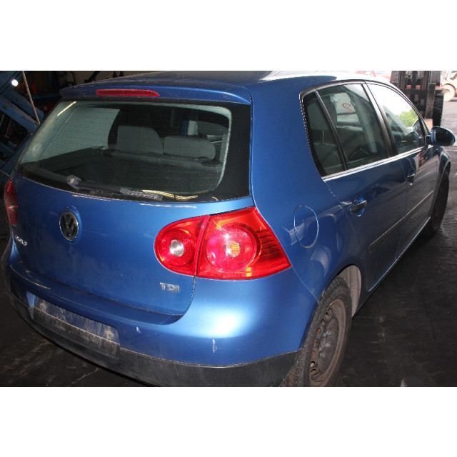 Pas bezpieczeństwa lewy tylny Volkswagen Golf V (1K1) (2003 - 2008) Hatchback 1.9 TDI (BKC)