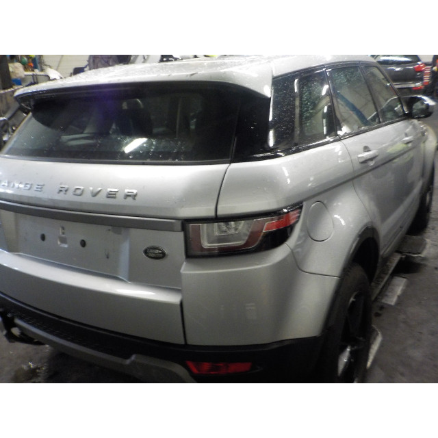 Kolumna zawieszenia tylna lewa Land Rover & Range Rover Range Rover Evoque (LVJ/LVS) (2015 - teraz) SUV 2.0 D 150 16V (204DTD(Euro 6))