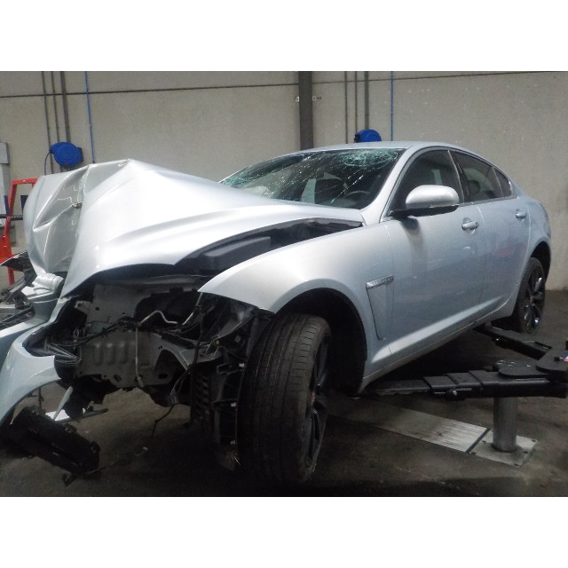 Zestaw amortyzatorów gazowych, przód Jaguar XF (CC9) (2011 - 2015) Sedan 2.2 D 16V (224DT)