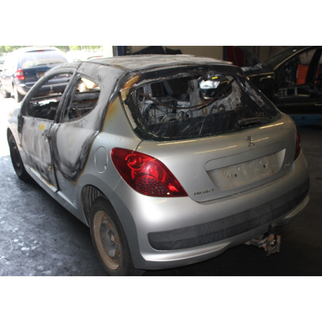 Atrapa/grill Peugeot 207/207+ (WA/WC/WM) (2006 - 2013) Hatchback 1.4 (TU3A(KFV))