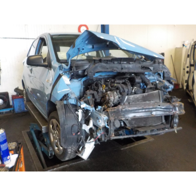Mechanizm sterowania szyby drzwi przednich lewych Kia Picanto (TA) (2011 - 2017) Hatchback 1.0 12V (G3LA)