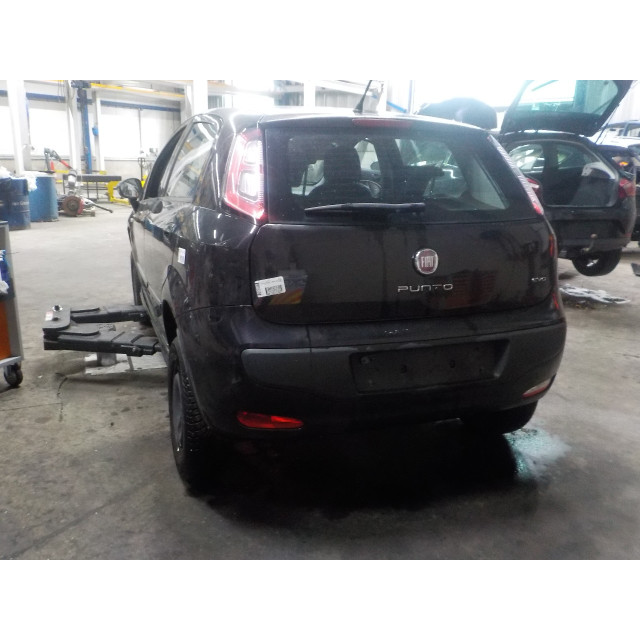 Kolumna zawieszenia przednia lewa Fiat Punto Evo (199) (2009 - 2012) Hatchback 1.3 JTD Multijet 85 16V (199.B.4000(Euro 5))