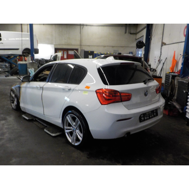 Zestaw amortyzatorów gazowych, tył BMW 1 serie (F20) (2015 - 2019) Hatchback 5-drs 116d 1.5 12V TwinPower (B37-D15A)